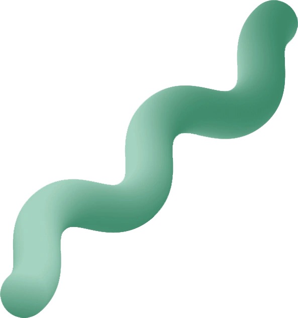 3D shape